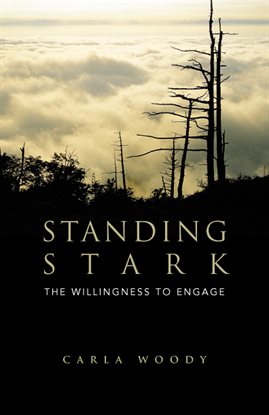 Cover image for Standing Stark