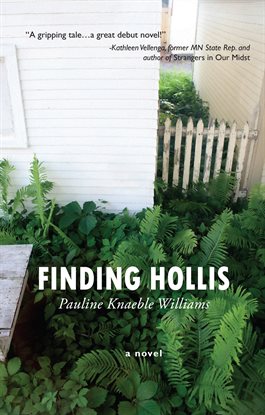 Cover image for Finding Hollis