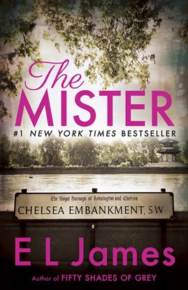 Cover image for The Mister
