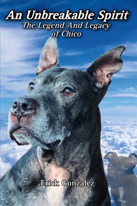 Imagen de portada para An Unbreakable Spirit: The Legend and Legacy of Chico