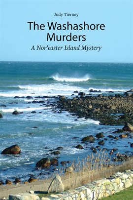 Cover image for The Washashore Murders