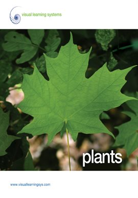 Imagen de portada para Plants - Spanish
