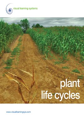 Cover image for Plant Life Cycles - Spanish