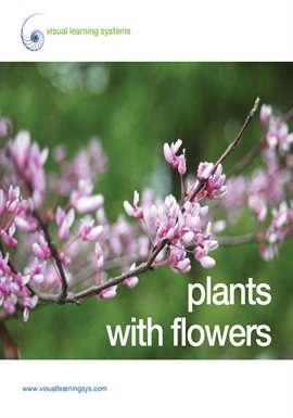 Imagen de portada para Plants with Flowers - Spanish