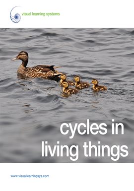 Cover image for Cycles in Living Things - Spanish