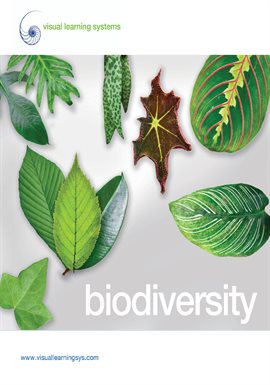 Imagen de portada para Biodiversity - Spanish