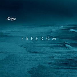 Cover image for Freedom