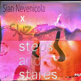 Cover image for Steps and Stares