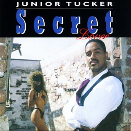 Cover image for Secret Lover
