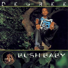 Imagen de portada para Bush Baby