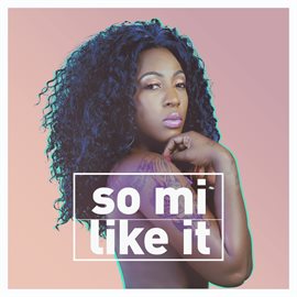 Cover image for So Mi Like It