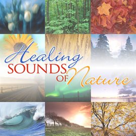 Cover image for Healing Sounds of Nature