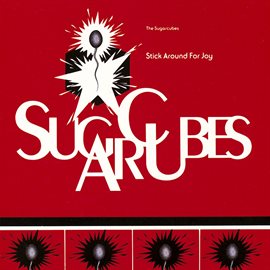 Cover image for Stick Around For Joy