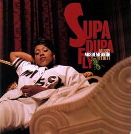 Cover image for Supa Dupa Fly