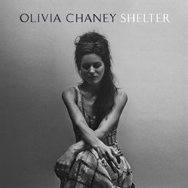 Cover image for Shelter