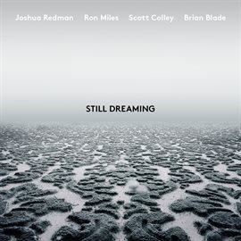 Cover image for Still Dreaming (feat. Ron Miles, Scott Colley & Brian Blade)