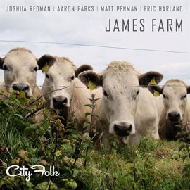 Imagen de portada para City Folk