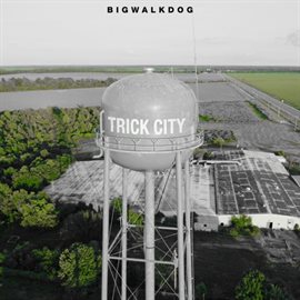 Cover image for Trick City (Deluxe)