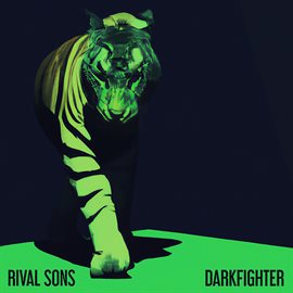 Cover image for DARKFIGHTER