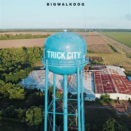 Cover image for Trick City