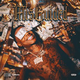 Imagen de portada para Misguided