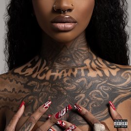 Cover image for No Luv