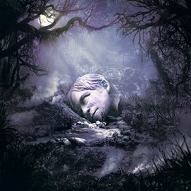 Imagen de portada para SZNZ: Autumn