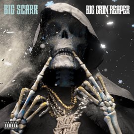 Cover image for Big Grim Reaper