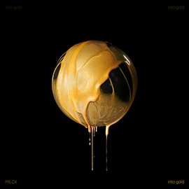 Imagen de portada para Into Gold
