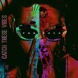 Cover image for Catch These Vibes