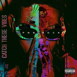 Cover image for Catch These Vibes