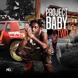 Imagen de portada para Project Baby 2: All Grown Up