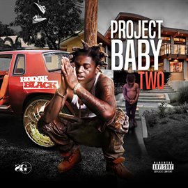 Imagen de portada para Project Baby 2: All Grown Up