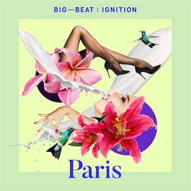 Imagen de portada para Big Beat Ignition: Paris