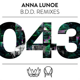 Cover image for B.D.D (Remixes)