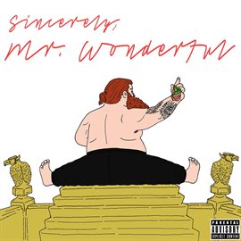 Cover image for Mr. Wonderful