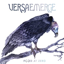 Cover image for Fixed At Zero