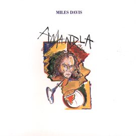 Cover image for Amandla