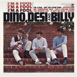 Cover image for I'm A Fool