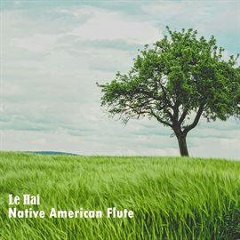 Imagen de portada para Native American Flute