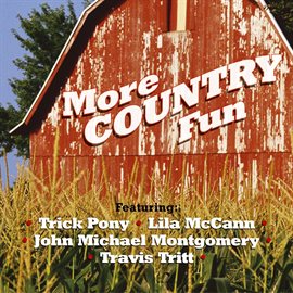 Cover image for More Country Fun