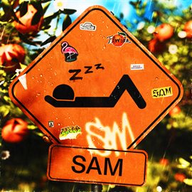 Cover image for Sam