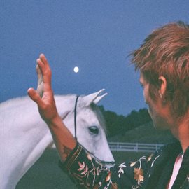 Cover image for Midnight Horses
