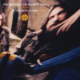 Cover image for This Magnificent Distance