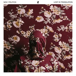 Cover image for Lost in Translation