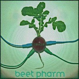 Cover image for Beet Pharm
