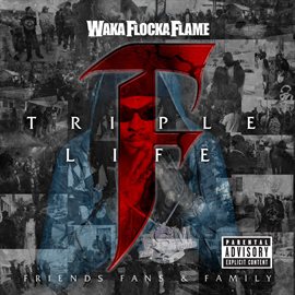 Cover image for Triple F Life: Friends, Fans & Family