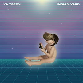 Cover image for Indian Yard
