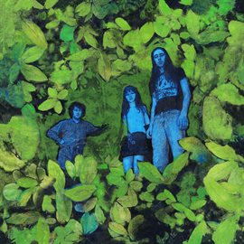 Imagen de portada para Vague Premonition (Expanded)