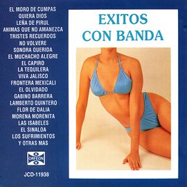 Cover image for 30 Exitos con Banda